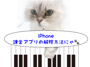 ピアノアプリの自動課金が７日で900円 Iphoneから課金を解除する方法 人生が雑記ブログ